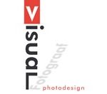 Logo Visual PD